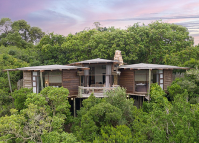 ویلاهای درختی تسلا در آفریقای جنوبی ویلاهای درختی تسلا در آفریقای جنوبی